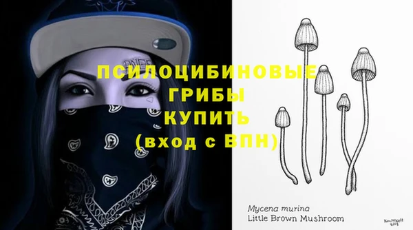 круглые Михайловск