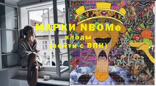 стафф Михайловка