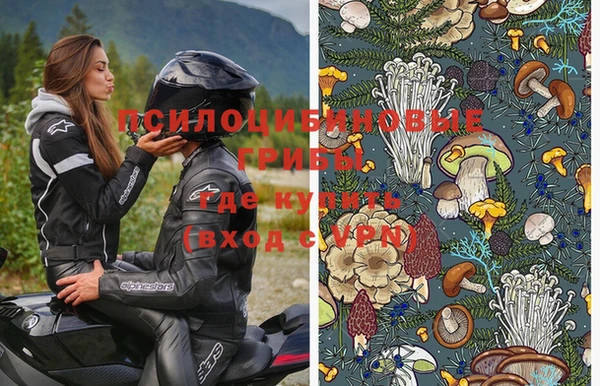 трава Надым